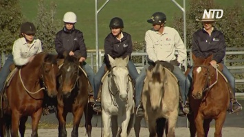 В Австралии лошади помогают военным справиться с посттравматическим синдромом (видео)