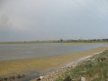 В озерах Крыма растет уровень соли