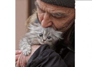 В Днепре 93-летний дедушка ухаживает за 20-ю бездомными кошками
