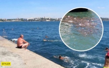 Пластик, гниющие водоросли и фекалии: в сети показали фото моря в Крыму