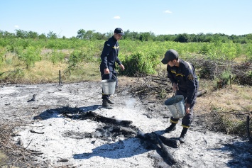 В Новоодесском районе вычислили поджигателя - развел 50 костров (ФОТО, ВИДЕО)