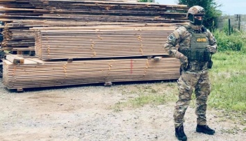 На Прикарпатье провели обыски в лесхозах из-за незаконной вырубки