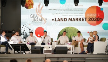 Рынок земли в Украине будет со значительными ограничениями - Госгеокадастр