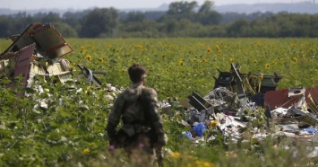 ЕСПЧ получил иск Нидерландов против России о крушении рейса MH17