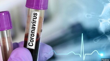 В Запорожье новая смерть от коронавируса