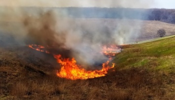 В Харьковской области за сутки произошли 12 пожаров в природных экосистемах