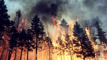В Сибири свирепствуют масштабные лесные пожары