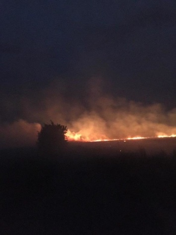 Огненная стихия не обошла стороной поля возле Мирнограда