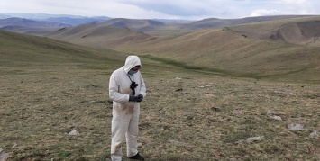 Бубонная чума: в Монголии скончался 15-летний подросток