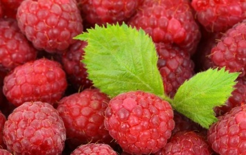 Почему нужно есть малину: эксперты назвали преимущества употребления ягоды