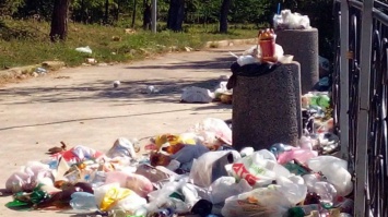 Услугу по очистке мусорных урн в Кривом Роге доверили предприятию без соответствующей техники