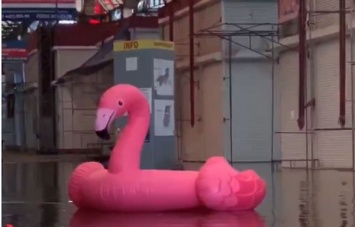 Харьков затопило: по городу плавают машины и розовые фламинго (видео)