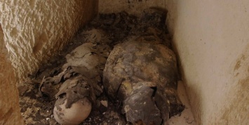 В поисках царицы: в Египте нашли мумии сподвижников Клеопатры