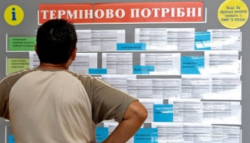 Образовательные платформы и онлайн-ярмарки: как найти работу через киевскую службу занятости на карантине