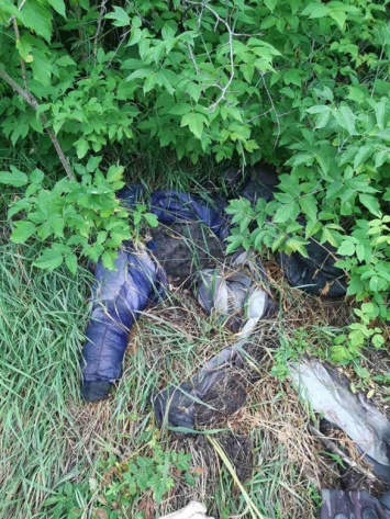 В Харьковской области нашли человеческие останки