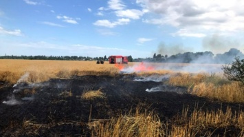 За минувшие выходные в окрестностях Кривого Рога выгорело 20 гектаров территорий