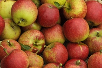 Украинские яблоки подорожают еще больше