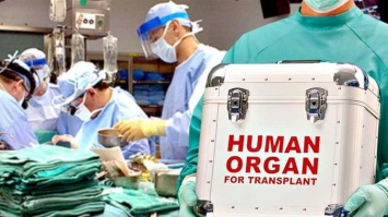 Трансплантация органов: Кабмин утвердил тарифы