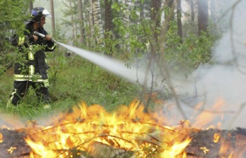 Для охраны лесничества от пожаров не хватает средств