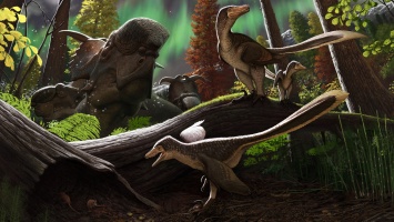 Ученые подтвердили, что динозавры жили на Аляске