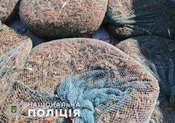 В заповеднике на Николаевщине полиция и экологическая инспекция поймали браконьеров на незаконном массовом отлове креветки (ФОТО)