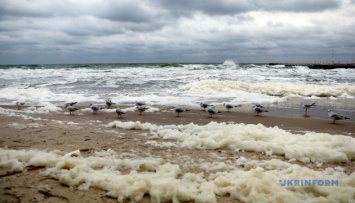 Грязная вода: в Одессе и Затоке "забраковали" пять пляжей