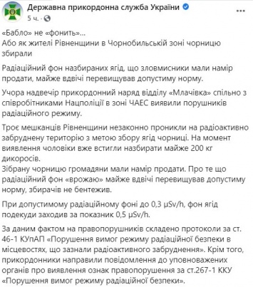 В зоне ЧАЭС поймали жителей Ровенской области, которые собрали 200 кг фонящей черники на продажу