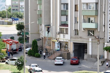 В городе под Одессой с помощью пожарной лестницы спасали упавшего на балкон кота