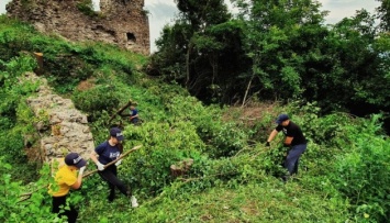Руины Королевского замка очистили от кустарников и мусора