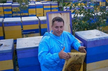 Пасека со 140-летней историей: как предприниматель из Северодонецка развивает пчеловодство на Луганщине