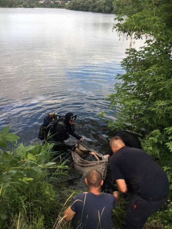 Играл на дамбе и у пал: в Харьковской области утонул 15-летний подросток, - ФОТО