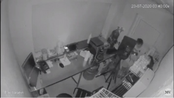 В Кирилловке камера наблюдения запечатлела момент кражи (ВИДЕО)