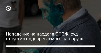 Нападение на нардепа ОПЗЖ: суд отпустил подозреваемого на поруки