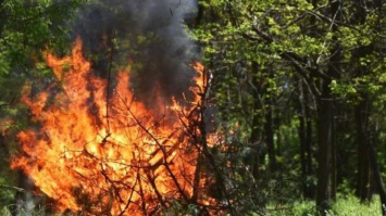 Украинцев предупредили о пожарной опасности