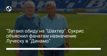 "Затаил обиду на "Шахтер". Сукрис объяснил фанатам назначение Луческу в "Динамо"