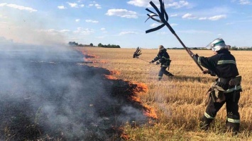 В Томаковском районе на поле горели остатки озимой пшеницы