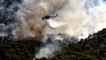 В Греции третьи сутки тушат масштабный лесной пожар