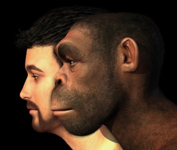 Мутировавший ген неандертальца способствует усиленному ощущению боли - ученые
