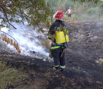 Двадцать пожаров «на природе» произошло вчера на Херсонщине
