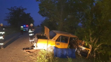 В Запорожской области "Жигули" влетели в дерево, пострадали три человека