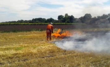 За сутки на Днепропетровщине произошло 85 возгораний сухостоя (ФОТО)
