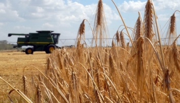 Аграриям Украины необходимо ускорить уборку урожая - эксперты