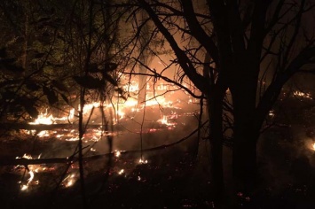 На Днепропетровщине горели 8 гектар леса