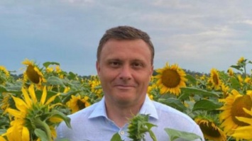 Без поддержки государства Украина потеряет свой аграрный потенциал - Сергей Левочкин