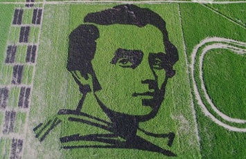 На Херсонщине вырастили на рисовом поле портрет Шевченко