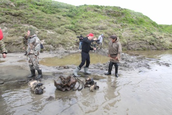 На Ямале найден скелет взрослого мамонта