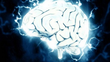 На шаг ближе к чипированию: создан перспективный имплантат для подключения мозга к компьютеру