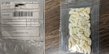 Подозрительные пакеты с семенами из Китая получают американцы. Они их не заказывали