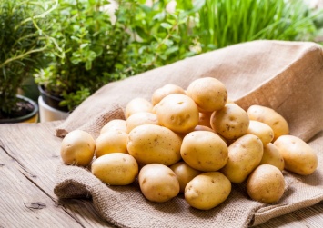 Рекомендации по правильному хранению картофеля