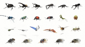 Как смотреть жуков, бабочек и других насекомых в 3D в Google